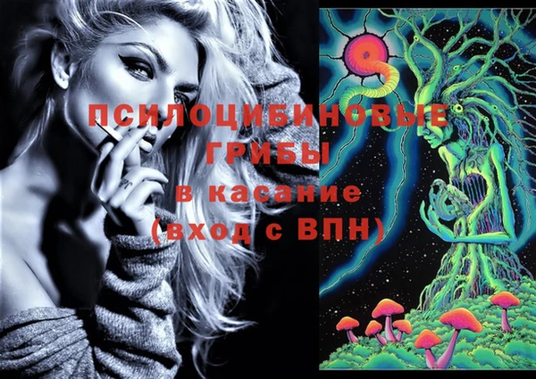 прущие крисы Михайлов