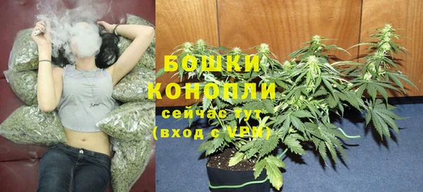 прущие крисы Михайлов