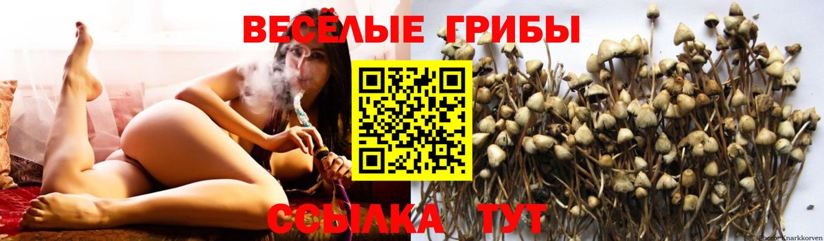 Назрань  Псилоцибиновые грибы мухоморы  Вход с VPN 
