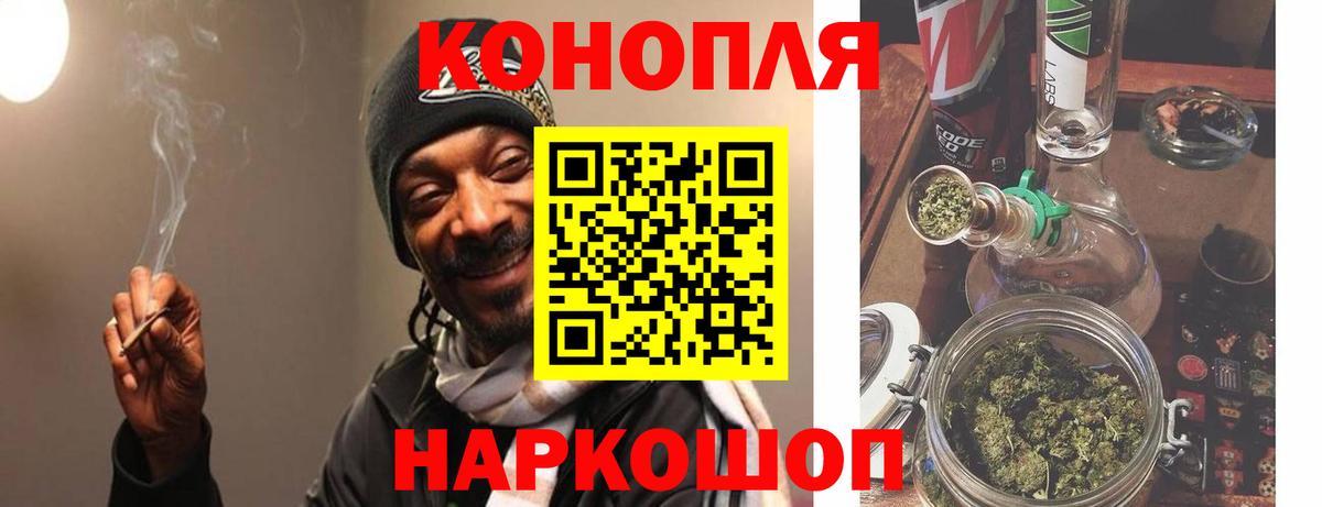 Бошки марихуана конопля Назрань